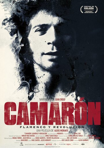 Camarón: Flamenco y revolución (2018)